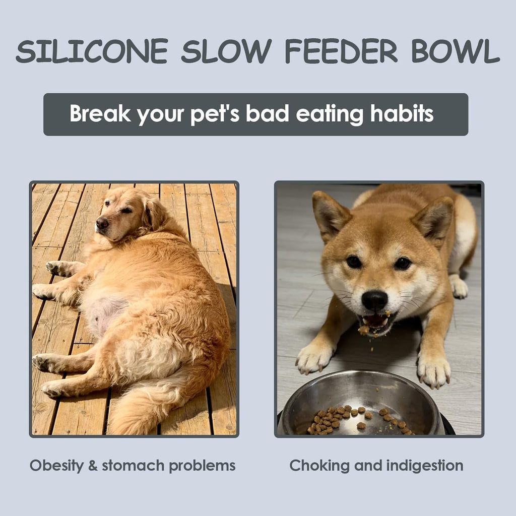 Silicone Anti-Choke Slow Feeder Bowl for Dog Cat