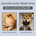 Silicone Anti-Choke Slow Feeder Bowl for Dog Cat