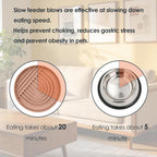 Silicone Anti-Choke Slow Feeder Bowl for Dog Cat