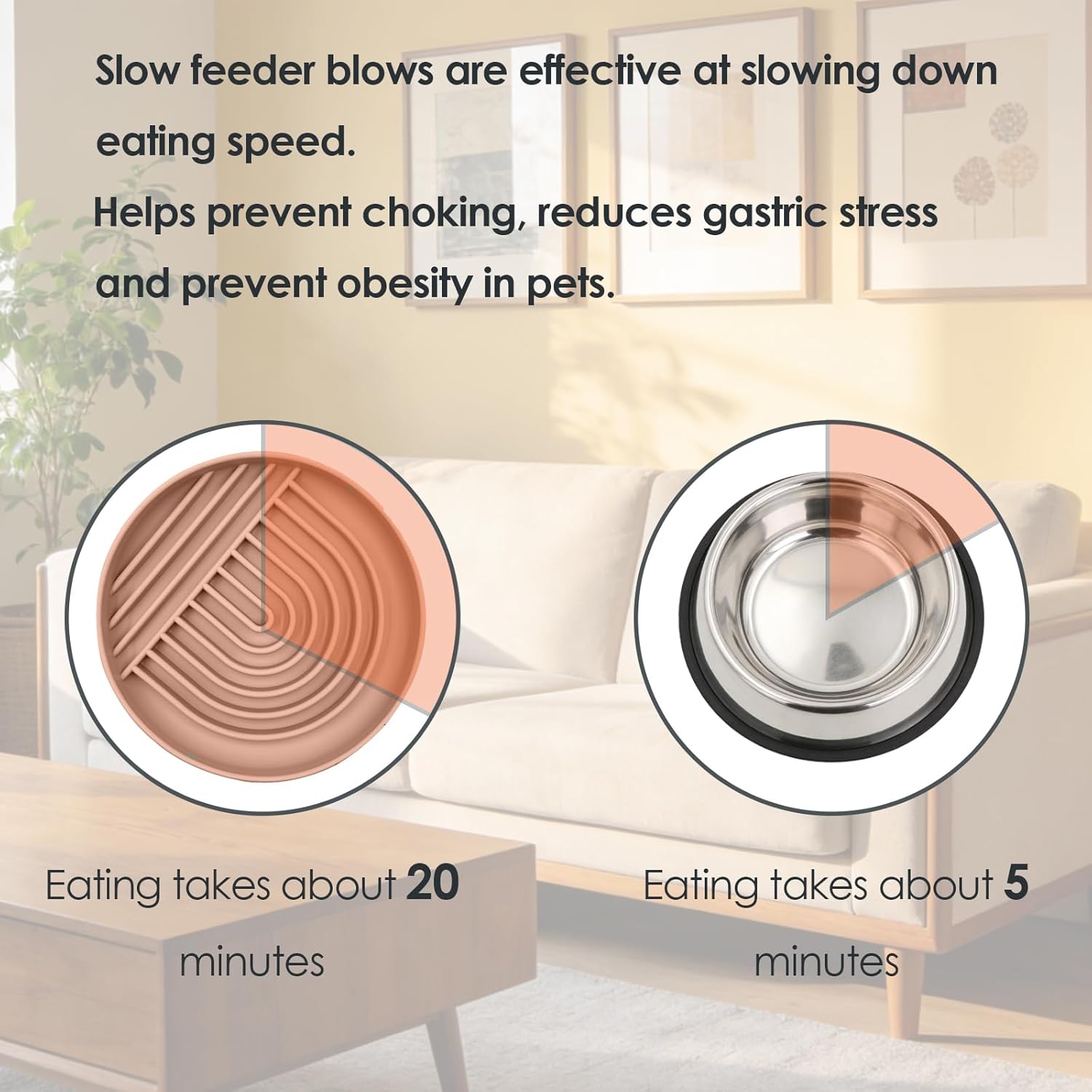 Silicone Anti-Choke Slow Feeder Bowl for Dog Cat