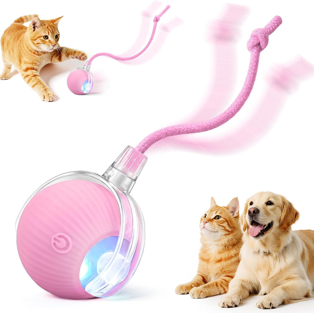 Rechargeable Automatic Rolling Interactive Pet Chase Ball Toy