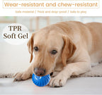 Gravity Bouncing Dog Ball Interactive Pet Chew Toy