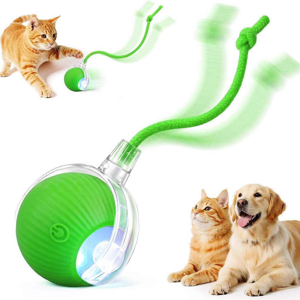 Rechargeable Automatic Rolling Interactive Pet Chase Ball Toy