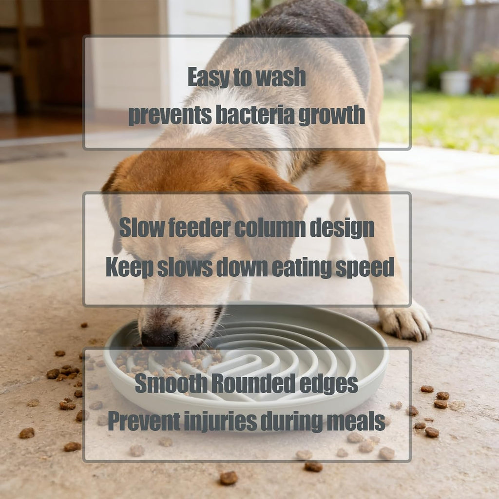 Silicone Anti-Choke Slow Feeder Bowl for Dog Cat
