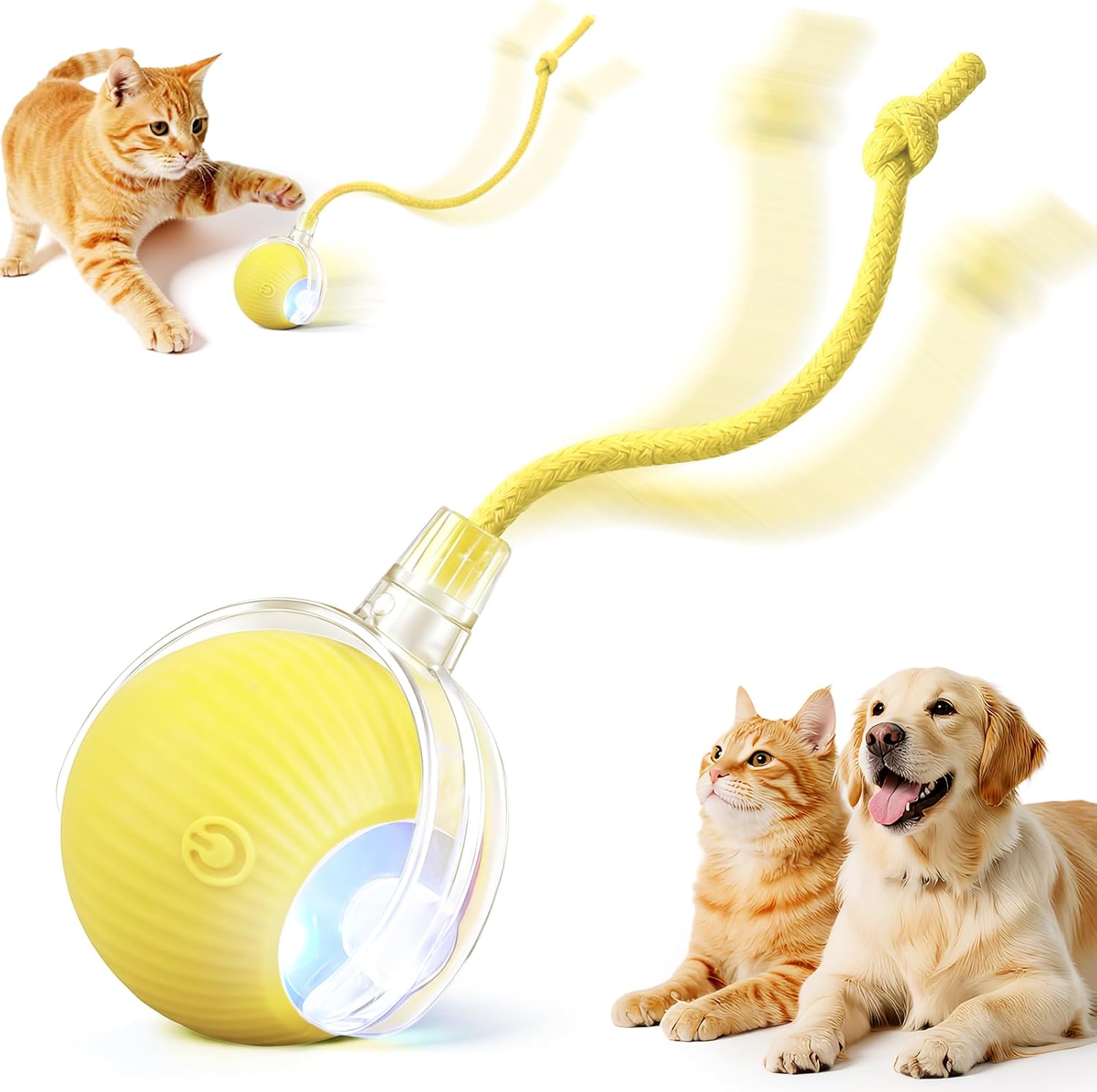 Rechargeable Automatic Rolling Interactive Pet Chase Ball Toy