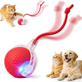 Rechargeable Automatic Rolling Interactive Pet Chase Ball Toy
